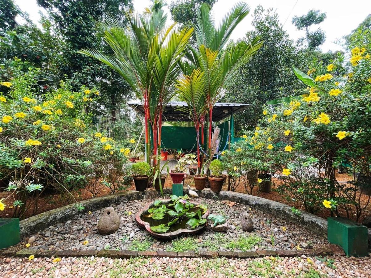 Kuttickattil Gardens Homestay Kottayam Exterior foto