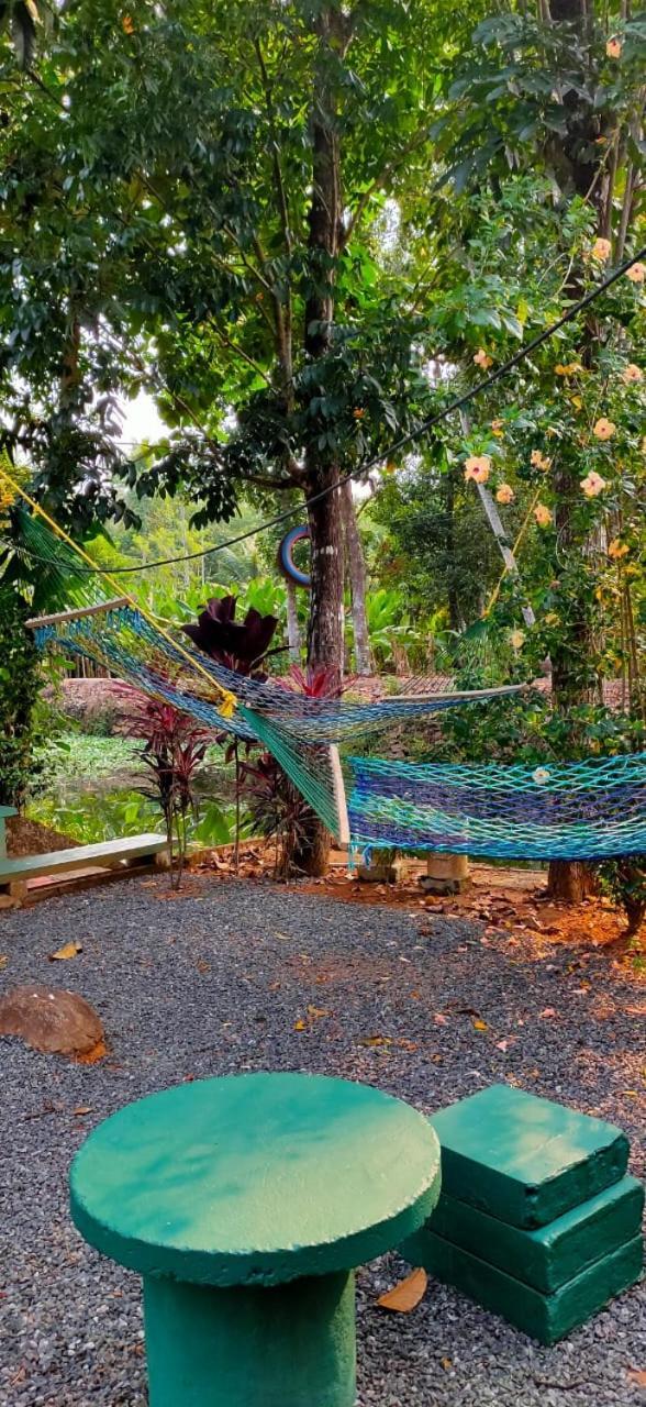 Kuttickattil Gardens Homestay Kottayam Exterior foto